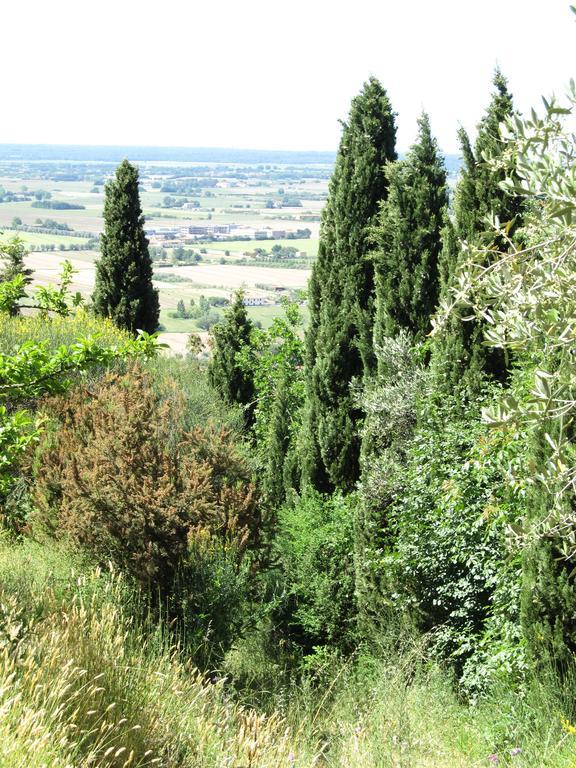 Agriturismo La Grotta San Giuliano Terme Exteriör bild